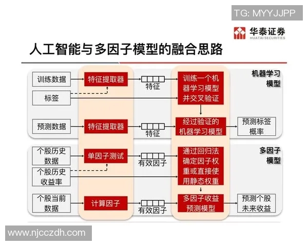 深圳网球队进攻战术解析与实战应用的深度剖析